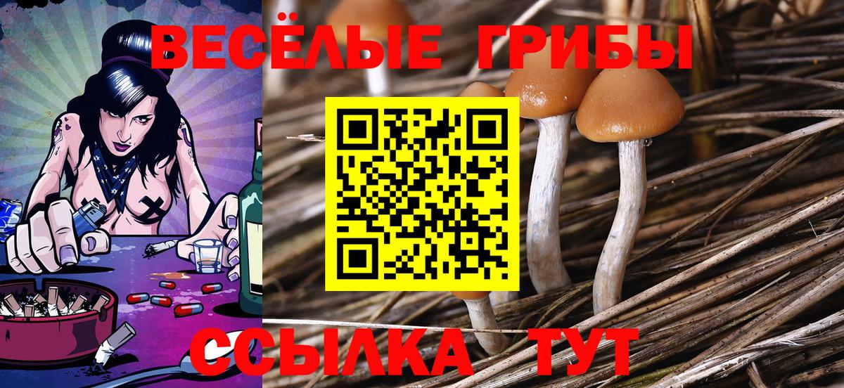 Псилоцибиновые грибы Magic Shrooms Альметьевск
