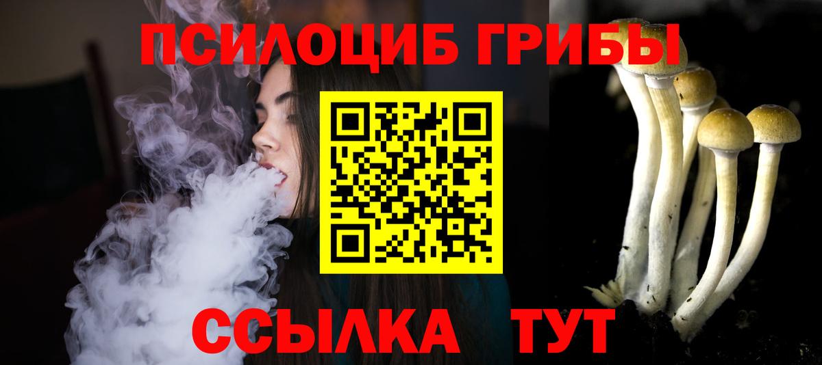 Альметьевск  Псилоцибиновые грибы прущие грибы  Вход с VPN 